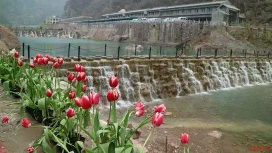 洪洞大槐树系列专题 | 元朝社会背景(二)