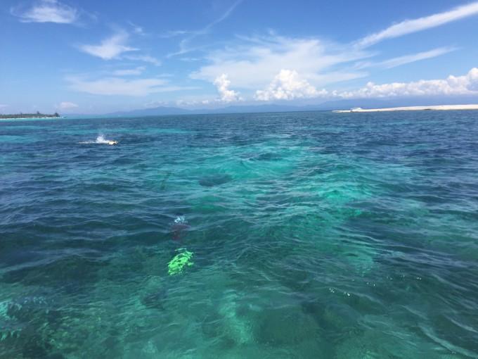 海底世界填颜色5