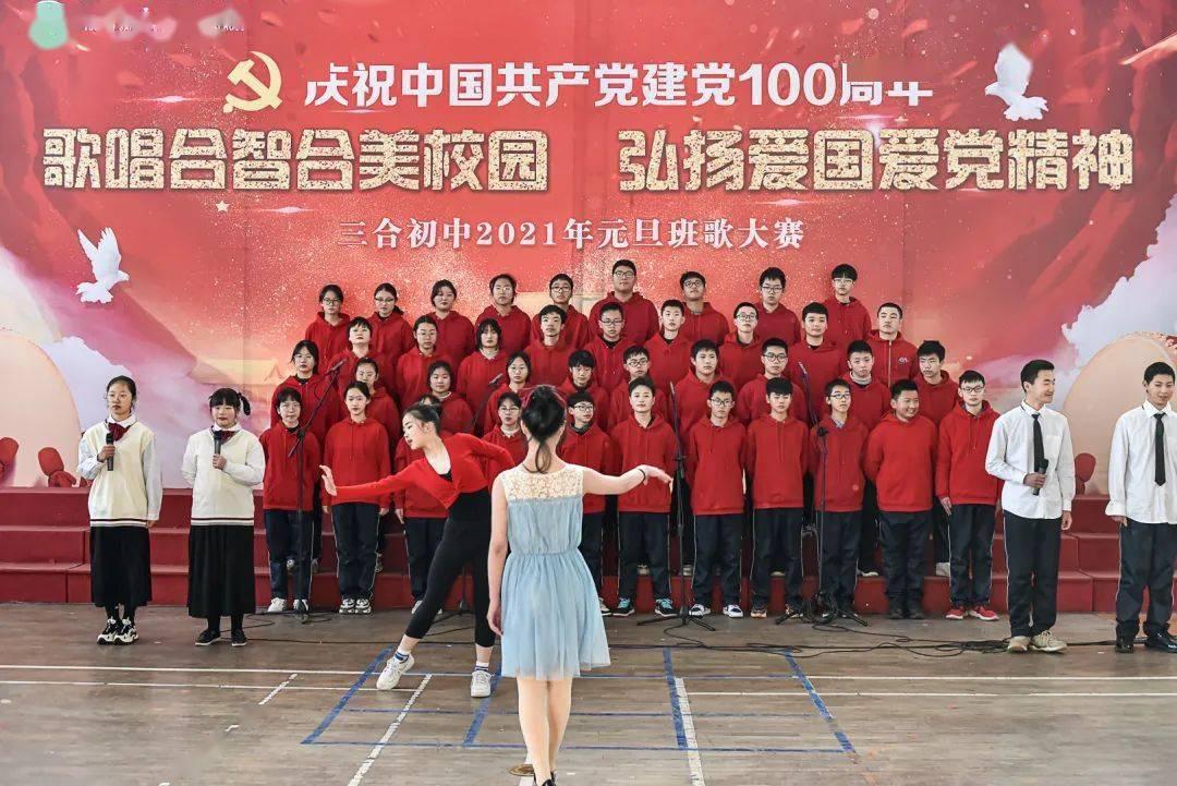 救援小犬立苏