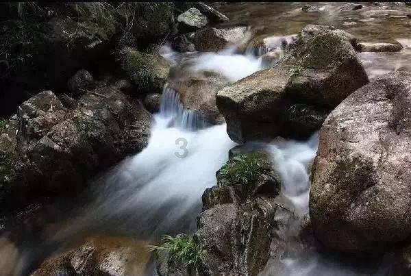 小企鹅逃生