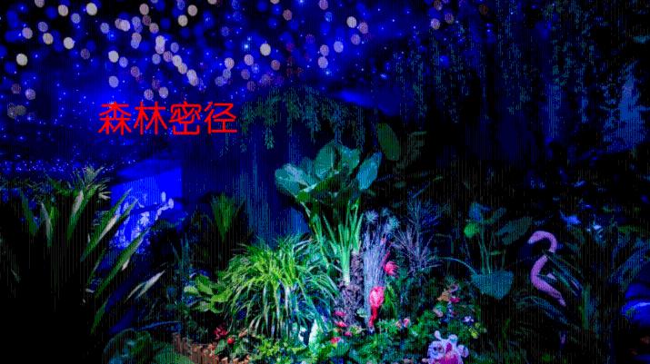 现实“十三姨”，19岁嫁55岁黄飞鸿，一生无儿无女
